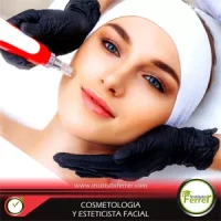 PLACAFACEBOOKINSTITUTOFERRERCURSOSHOTMARTCOSMETOLOGIAYESTETICISTAFACIAL001